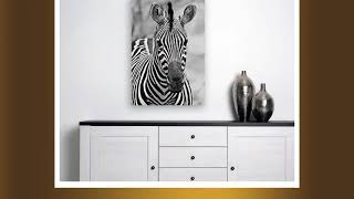 Ani-11 Natural World Zebra Black & White Canvas Wall Art Décor Picture Frame