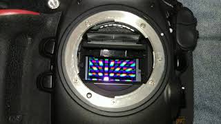 Nikon D800 Mirror Issue