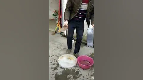 Watch the video about Cat Series