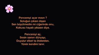 Pencereyi Aç Soluğun Çıksın Dışarı