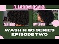 HOW TO ACHIEVE A BOMB WASH N GO USING EARTHBORN ORGANICS +TIPS |Wash N Go Series Episode 2