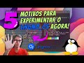 5 MOTIVOS para EXPERIMENTAR o LINGMO_OS Agora!🐧