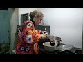 No Natal, há sempre um prato igual - Carne vinha e alhos