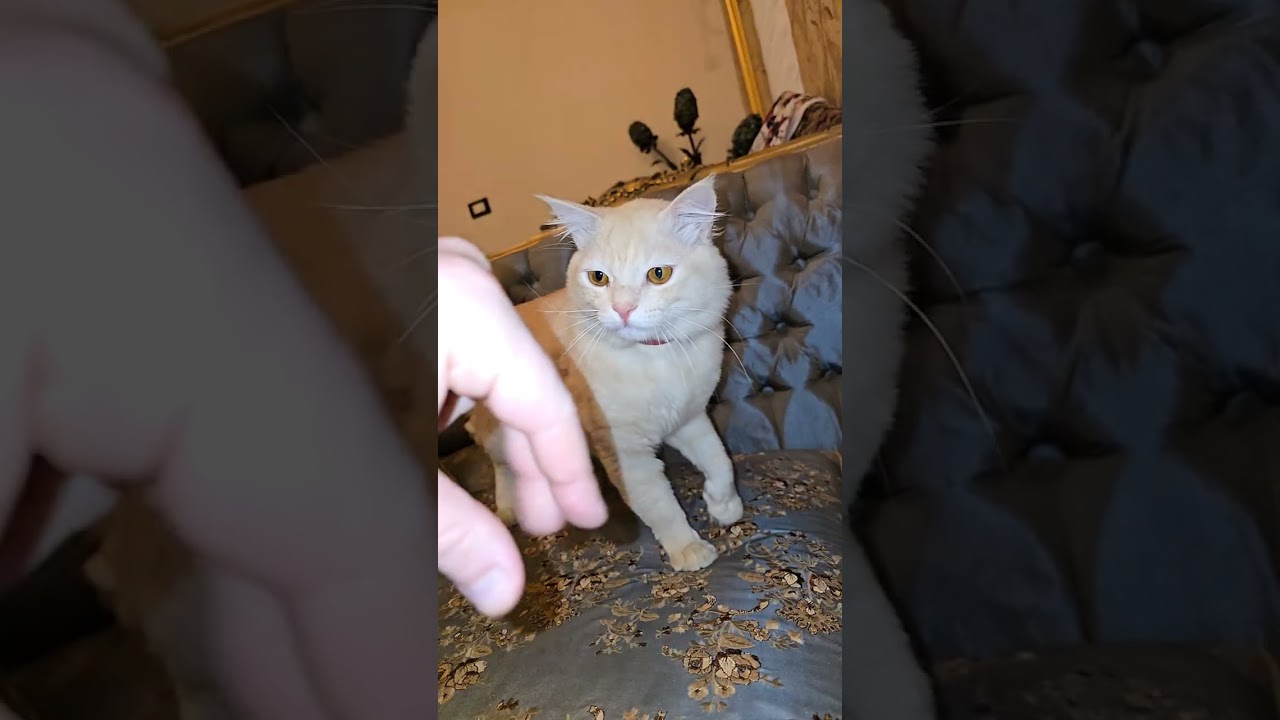 (💔)Now we are free