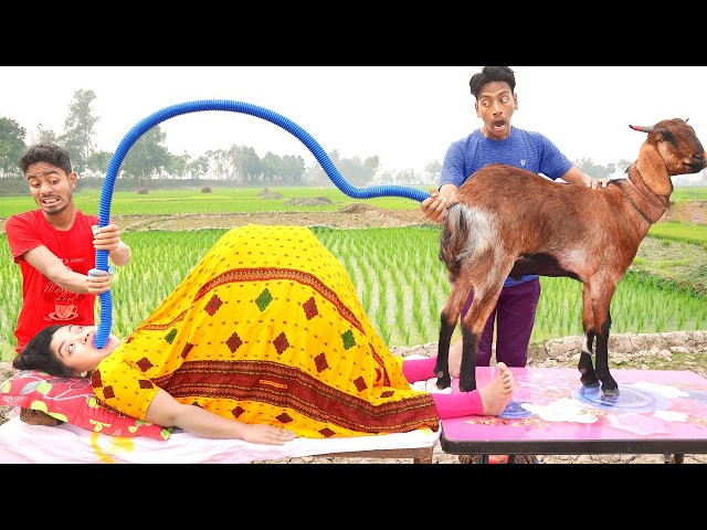 Must Watch New Funny Video 2026 Top Comedy Video 2026 Try To Not Laugh Episode 356 By Funny Family