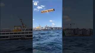 Erkin Koray Şaşkın Resimi