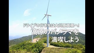 ドライブの行き先は大川原高原へ！ 高原のパノラマを満喫しよう