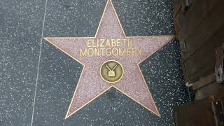 Actress Elizabeth Montgomery Hollywood Walk of Fame Star Los Angeles California USA May 26, 2023