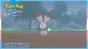Where To Catch Bunnelby In Pokemon Sword & Shield | Location Quick Guide