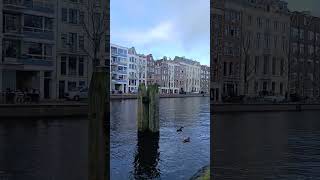 #holland ##niderlande #amsterdam #голандия #амстердам