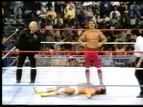 WWF History - Ravishing Rick Rude & Jake Roberts p...