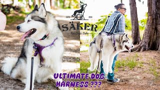 Ultimate Dog Harness and Rescue kit | Säker Ascension harness | Malamute tested