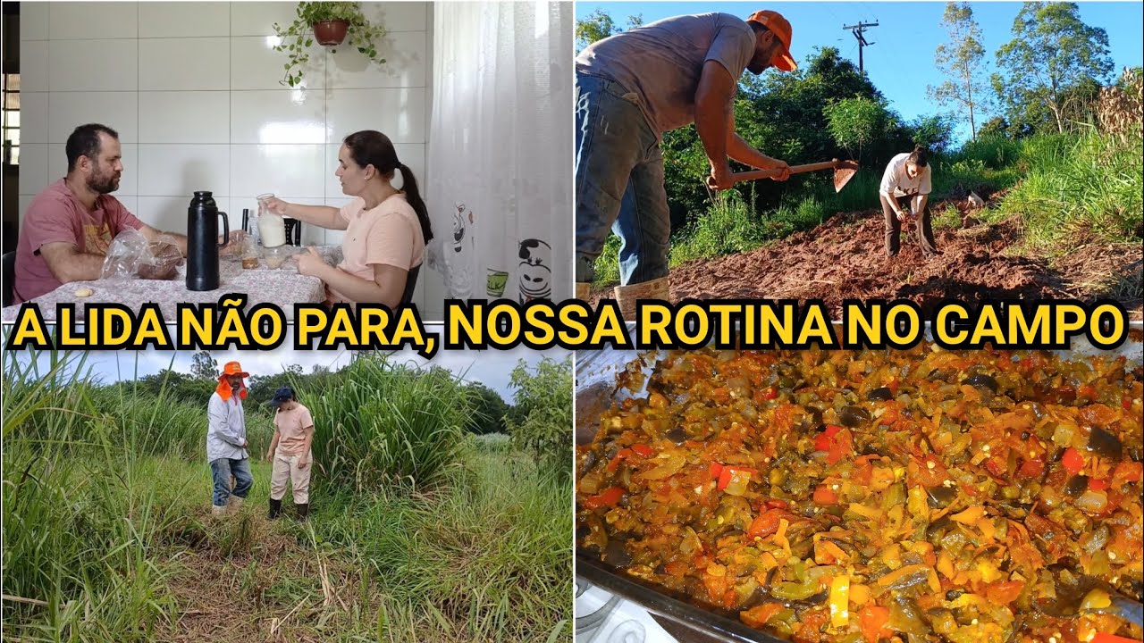 CERCANDO O CAPIAÇU, NA ROÇA A GENTE SE PREPARA PRO INVERNO DESDE AGORA/ FIZ  ANTEPASTO DE BERINJELA💜