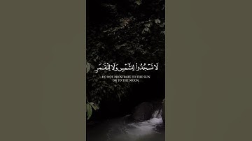 القرآن الكريم  || وإما ينزغنك من الشيطان نزغ فاستعذ بالله || القارئ عمر الدريويز