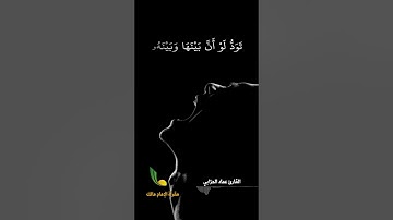 تلاوة خاشعة وهادئة مختارة من سورة آل عمران || يَوۡمَ تَجِدُ كُلُّ نَفۡسٖ مَّا عَمِلَتۡ