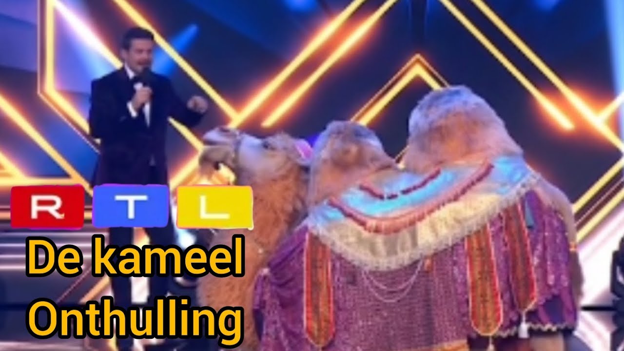 de kameel // onthulling // the masked singer nederland seizoen 6 YouTube
