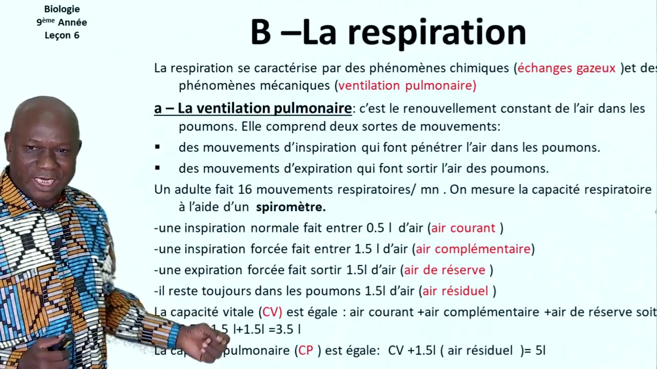 Biologie leçon6 L appareil respiratoire et la respiration