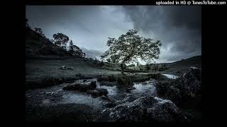sad and peaceful type beat *beat switch*