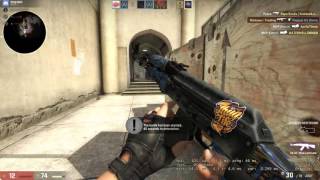 Counterstrike- 5 Man Ace Ak-47