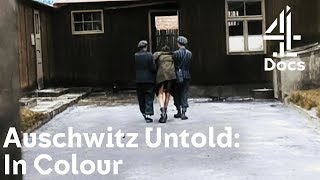 Download Lagu What Happened Right Before Jewish Concentration Camps Were Liberated? | Auschwitz Untold: In Colour MP3