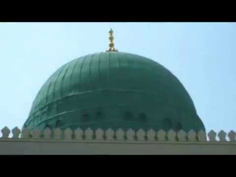 إلى رحاب اليثرب