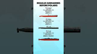 US Navy Regulus Submarines Compared | Grayback vs Halibut vs Permit