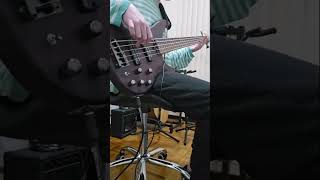 Arctic Monkeys - Crying Lightning | Bass Cover