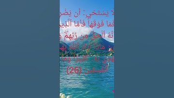 سوره البقره من الايه 25 إلي الايه 26