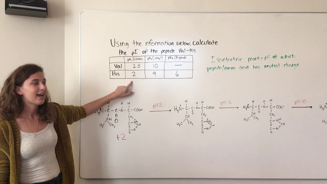 calculate pi to calculate pi to
