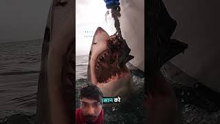 #facts #factsinhindi #animalfacts #shortvideo #funny #ekmotahathighumechala #animalknowledge #pets