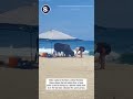 Bull Steals Food From Beachgoer