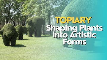 Topiary: Shaping Plants into Artistic Forms