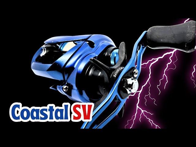 Daiwa Coastal SV TW 150XS Baitcast Reel Review 