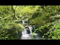 4K | Cascadas de Lamiña, una ruta espectacular 😍 | Parque Natural Saja-Besaya | Cantabria infinita