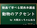 「動物のアクセント」動画で学べる関西弁講座～聞き流すだけで関西弁のイントネーションがみにつくシリーズ～