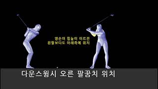 초보골퍼를위한 다운스윙의 중요성 (1분)