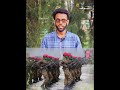 الجيش الإثيوبي القوة الأكثر جاهزية في المنطقة