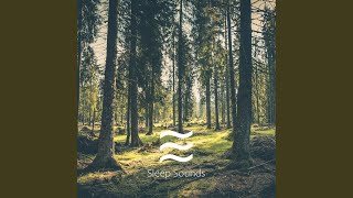 Raining Shush Soft Sounds