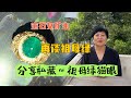 【宝石女矿主】影响祖母绿价格的因素，分享私藏祖母绿猫眼！