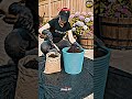DIY Concrete Rope Plant Pots | Easy Backyard Project! 🪴