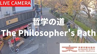 【LIVE】京都  哲学の道ライブカメラ（京都市観光協会公式）／The Philosopher’s Path, Kyoto Live camera