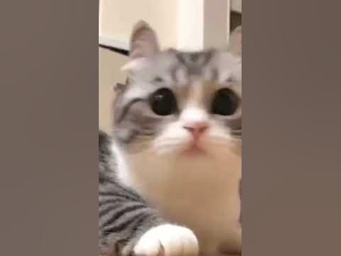 младший лейтенант мальчик молодой - YouTube