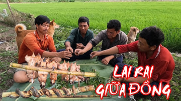 Nướng Chuột Lai Rai Bên Cánh Đồng Lúa Ban Chiều | CĐMT #642