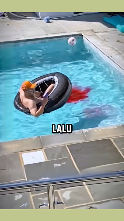 CERDAS⁉️ Cara mengatasi orang yg kencing didalam kolam renang...😲 #shorts