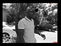 Dlala-Thukzin-Nika-Nika🎶| UBiza Wethu Album | iSgubhu Mix 😝