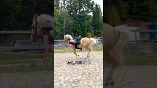 FAIL, ELLA FALLS OFF😱 #shorts #fail #horse