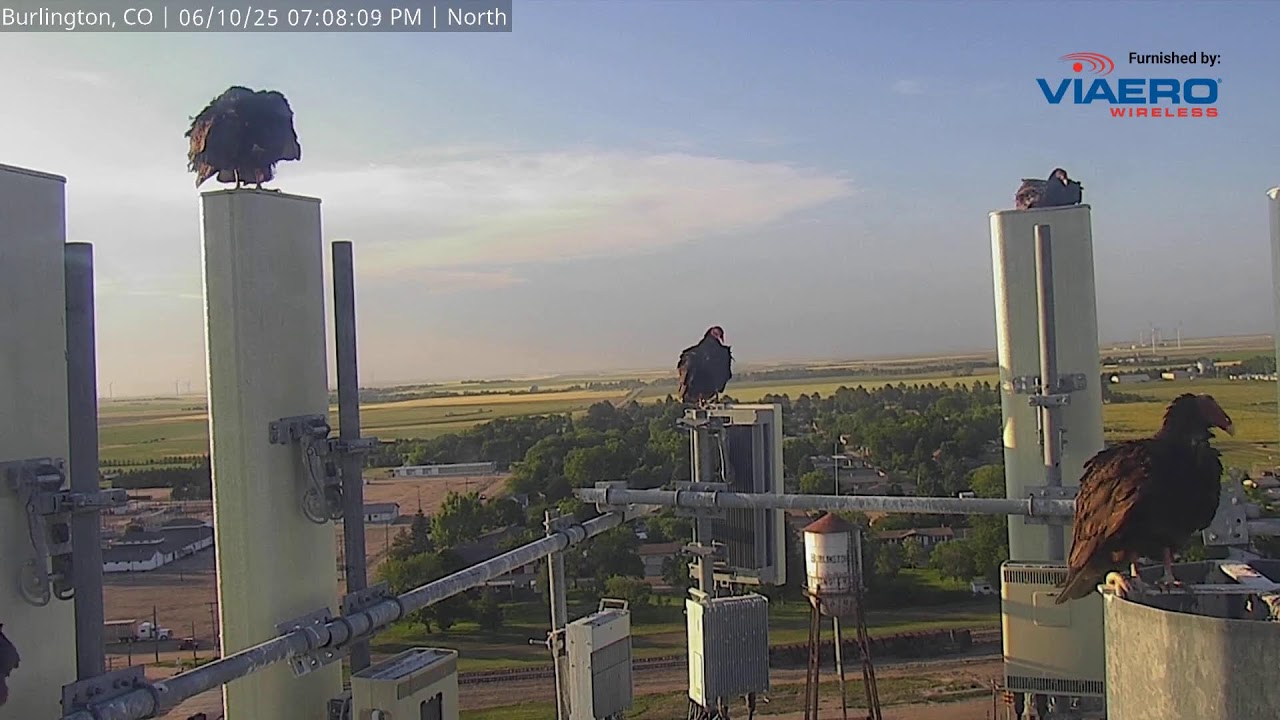 Burlington, CO Live Weather Camera - 06/04/2025