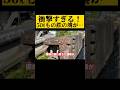 信じられません…