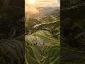 “The Sound of Nature — Cinematic Countryside” #villagelife #cinematic #nature #aivideo #relaxing