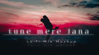 Tune Mere Jana || Mashup Mix Lofi Relax || Chill-out Song || Emptiness || New 2023 Mashup Mix Song